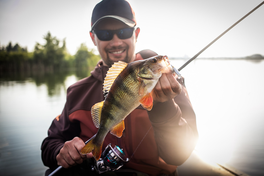 lowrance hook reveal review