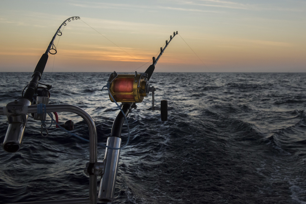 Lowrance HOOK2 4X Review - One Fish